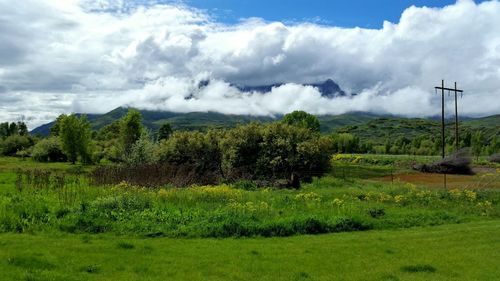 Scenic view of grassy field against cloudy sky