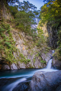 Scenic view of waterfall in forest