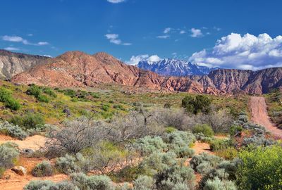 Red mountain wilderness snow canyon millcreek trail washington hollow st george, utah united states.