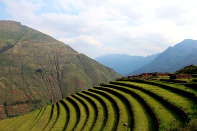 Scenic view of farm against sky