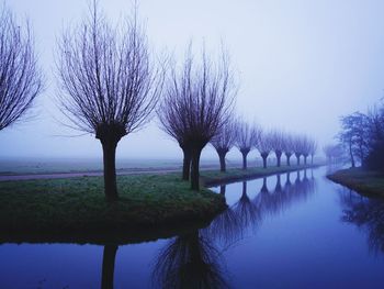 Reflection of trees in lake against clear sky