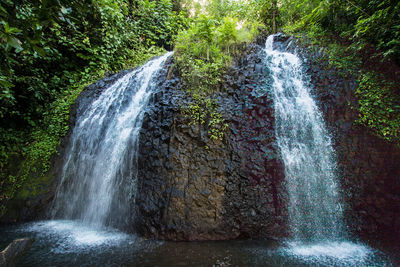 View of waterfall in forest