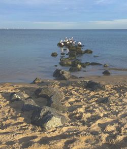 Aerial view of sea against sky