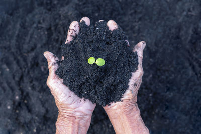 Cropped hand of woman holding heart shape