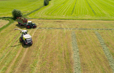 Grass harvester and tractor in the grass chop for animal feed