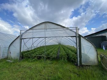 greenhouse