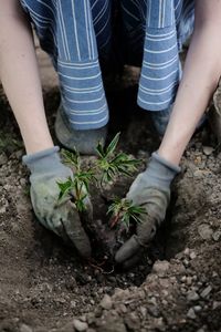 Low section of man standing on rock