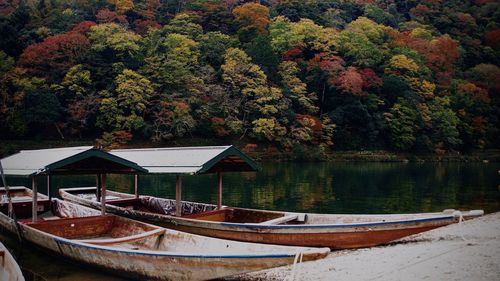 Scenic view of lake in forest during autumn