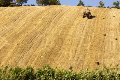 Harvester in a wheat field of the tuscan countryside