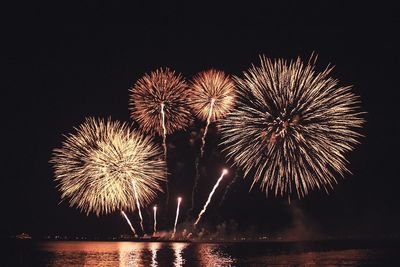 Low angle view of firework display against sky at night