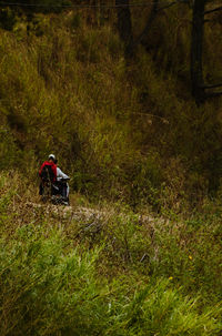 Rear view of man sitting on grassy field