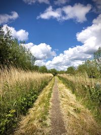 Empty road along countryside landscape