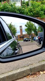 Reflection of trees on side-view mirror