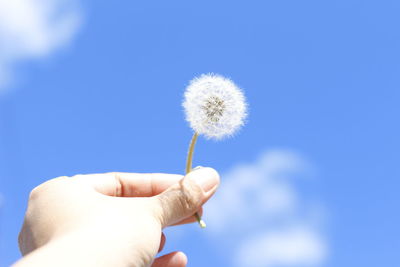 Cropped hand of person holding dandelion against blue sky