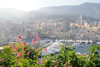 View of buildings at waterfront