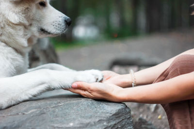 Japanese dog akita inu portrait with young woman outdoors