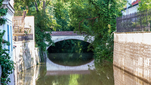 Arch bridge over lake in city