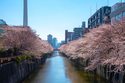 View of canal amidst buildings against sky