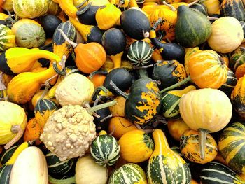 Full frame shot of pumpkins for sale at market stall