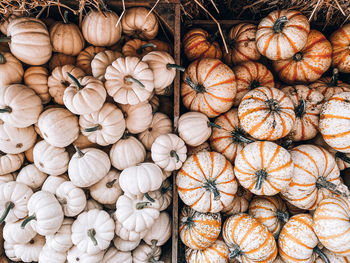 Full frame shot of onions for sale at market stall