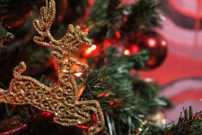 Close-up of christmas tree