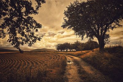 Scenic view of landscape at sunset