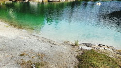Reflection of trees in water