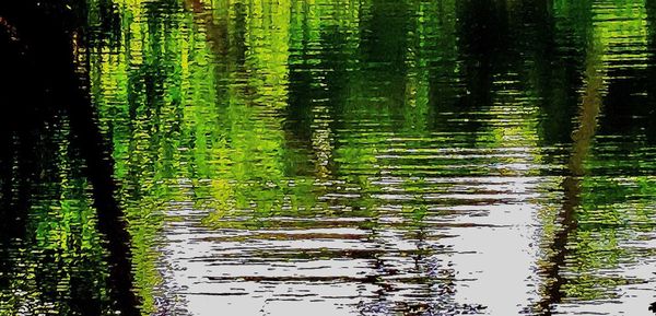 Scenic view of lake