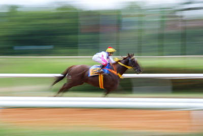 Blurred motion of man riding