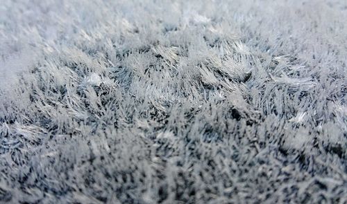 Full frame shot of snow