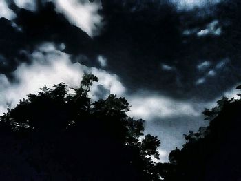 Low angle view of silhouette trees against sky