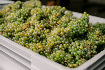 Close-up of vegetables