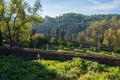 Scenic view of farm against sky