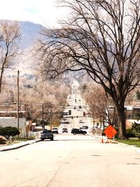 Cars on road along bare trees and buildings