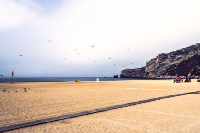 Birds flying over beach against sky