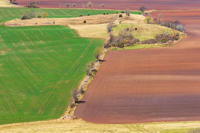 Cultivation landscape view with fields in spring