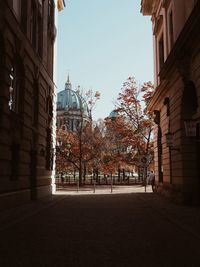 Trees in city against clear sky