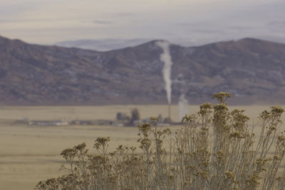 A photo of the incinerator near aragonite, ut. 