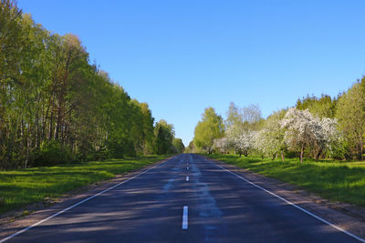 Road amidst trees against clear blue sky