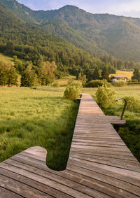 Footpath leading towards mountains