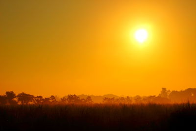 Silhouette plants on field against orange sky