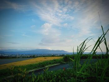 Scenic view of field against sky