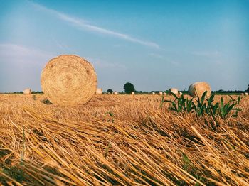 Hay bales on field against sky