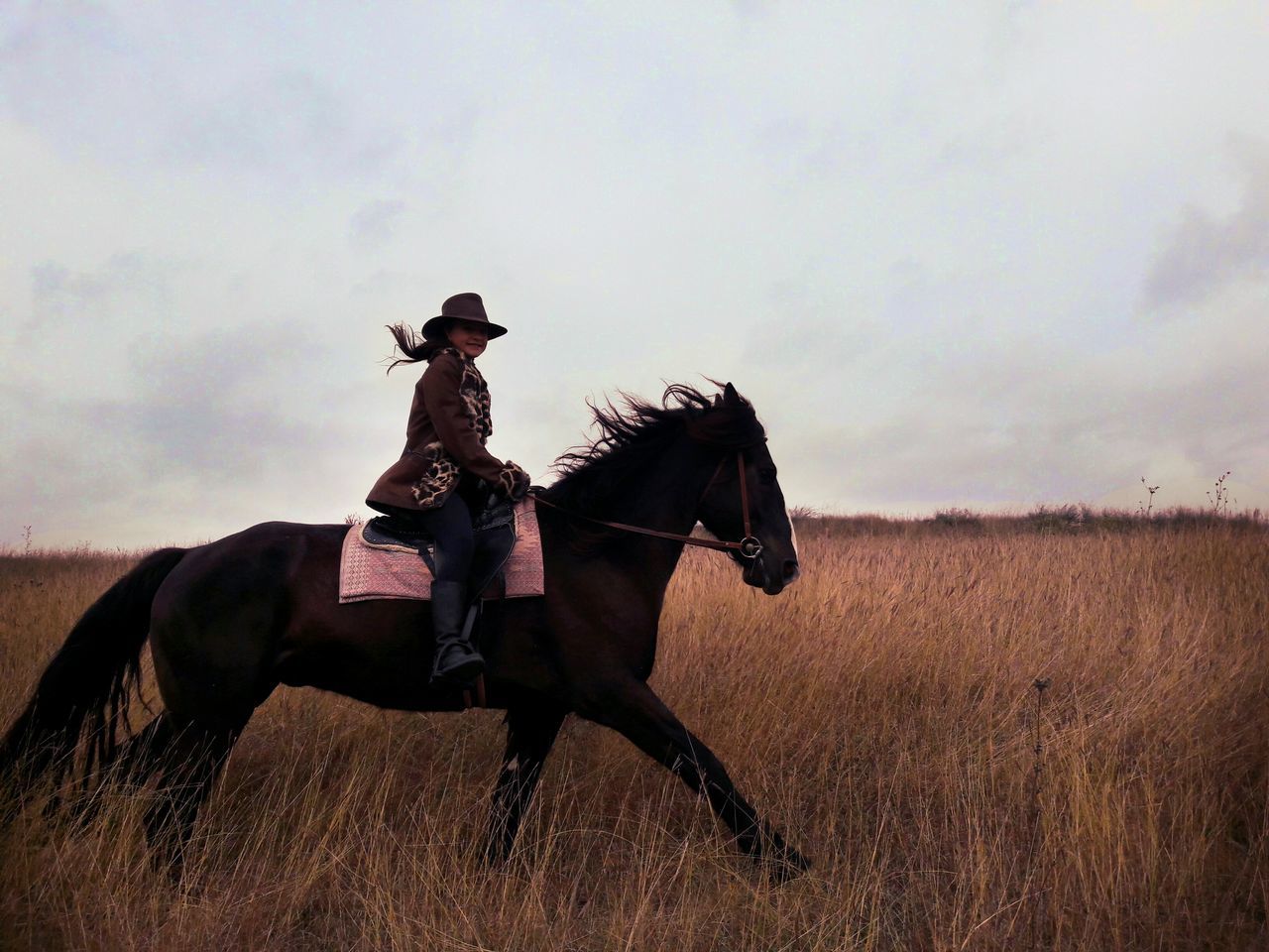 SIDE VIEW OF HORSE RIDING ON FIELD AGAINST SKY