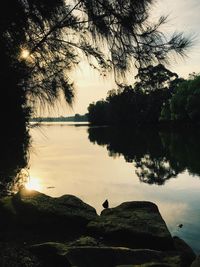 Silhouette trees by lake against sky during sunset