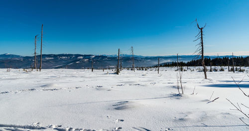 Snow covered field against sky