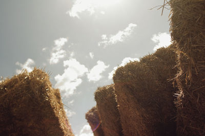 Low angle view of hay stacks against sky