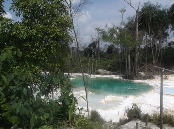 Scenic view of beach and trees against sky