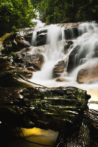 Scenic view of waterfall in forest