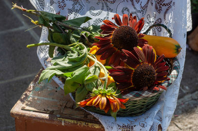 Basket on a chair with ripe yellow pumpkin and brown unique sunflowers, harvest